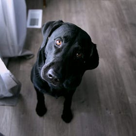 The Economics of Meeting Your Needs