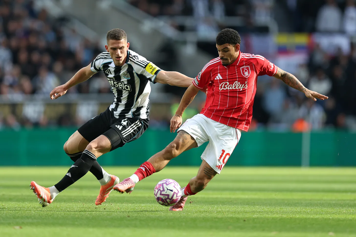 a3d331c3-4be3-4b1c-aa51-adf06b3bd2bf_433