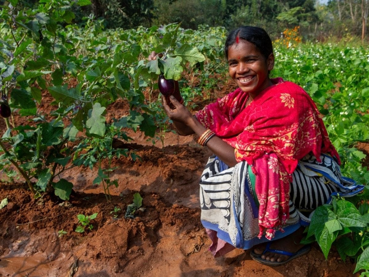 Smallholder Farmers in Asia: Challenges and Opportunities