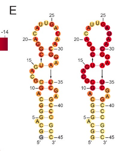 Pasted image 20260215225924.png Pasted image 20260215225924.png