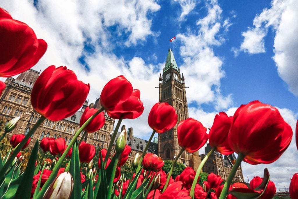 Unique activities in Ottawa - Ottawa Tulip Festival An excellent sping activity in Ottawa
