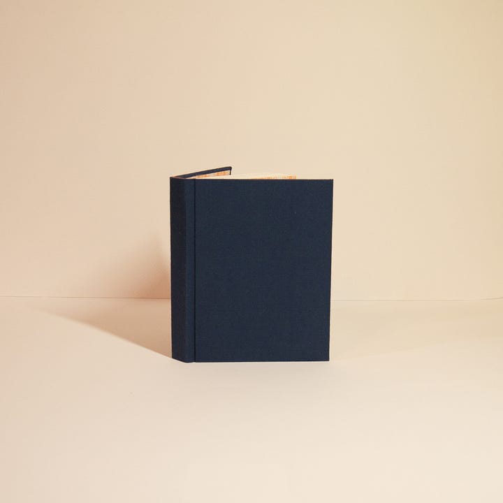 A variety of handbound books and a zine.