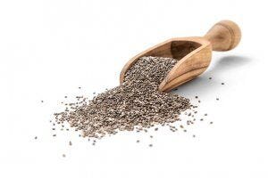 chia seeds | Gundry MD