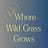 Where Wild Grass Grows