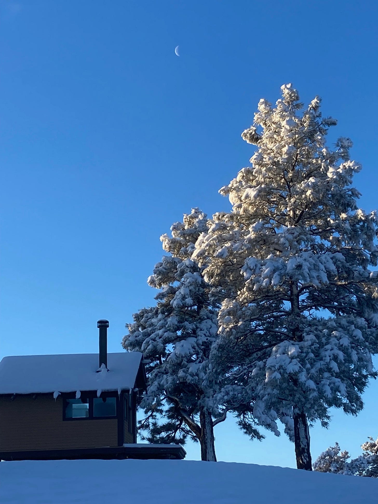 Snow and Moon, 2024-02-04 Snow and Moon, 2024-02-04