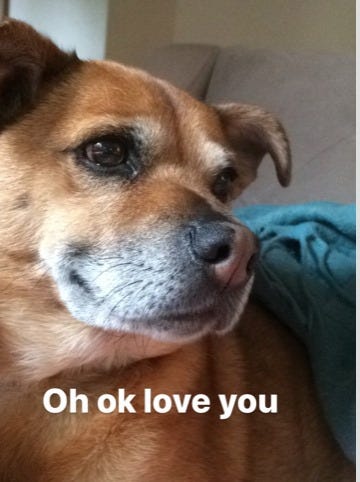 Petey loving me