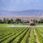 Why has Xinjiang become the "western granary"