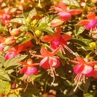 O Banquete dos Pensadores - Capítulo 8