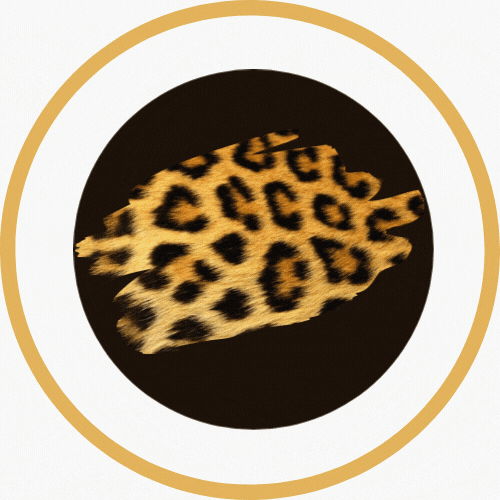 Substack profile picture for @tyne