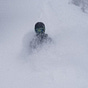 Davis Kedrosky's avatar