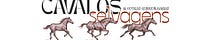 cavalos selvagens & outras quinquilharias