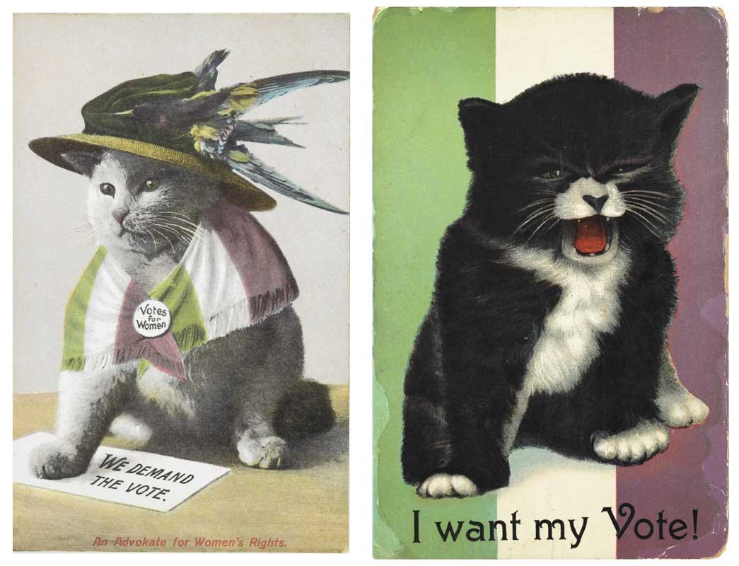 Cat wearing a hat and 'votes for women' badge and another mewling with caption "I want my Vote!" Cat wearing a hat and 'votes for women' badge and another mewling with caption "I want my Vote!"