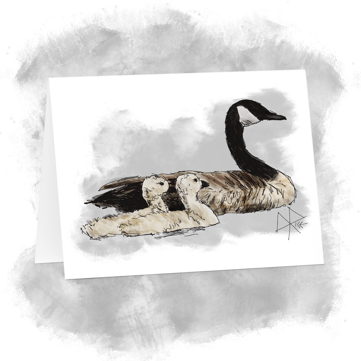 An adult Canada Goose leads two goslings as they paddle on the surface of a pond. Sketch art by Don Rice. An adult Canada Goose leads two goslings as they paddle on the surface of a pond. Sketch art by Don Rice.