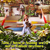 Were-not-in-kansas-anymore GIFs - Get the best GIF on GIPHY