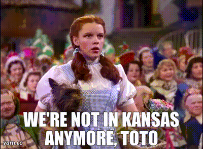 YARN | We're not in Kansas anymore, Toto | The Wizard of Oz | Video gifs by  quotes | 86c90f74 | 紗