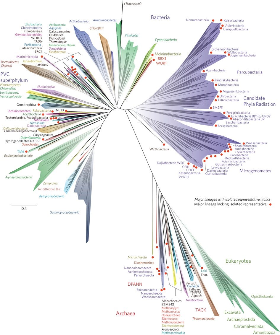 Figure 1: A current view of the tree of life, encompassing the total diversity represented by sequenced genomes.