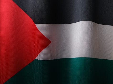 israeli flag, doves, palestinian flag