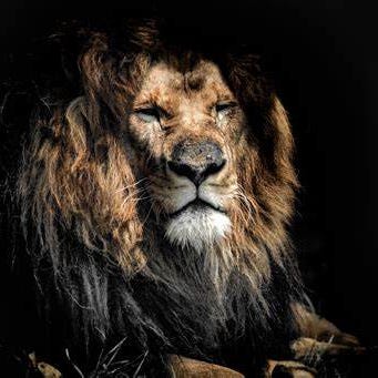 Artwork for Micrane’s Substack