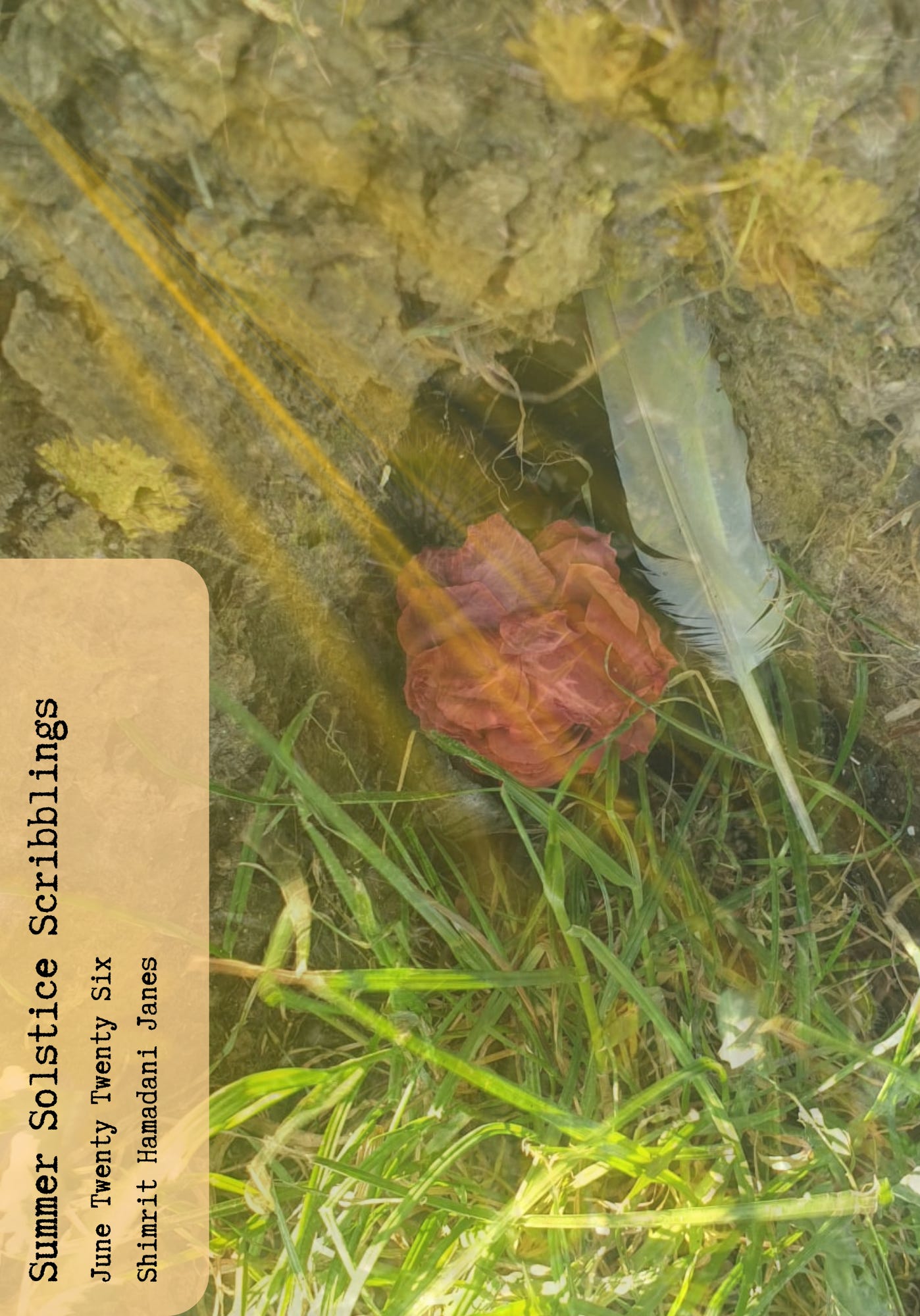 Summer Solstice Scribblings June Twenty Twenty Six Shimrit Hamadani Janes