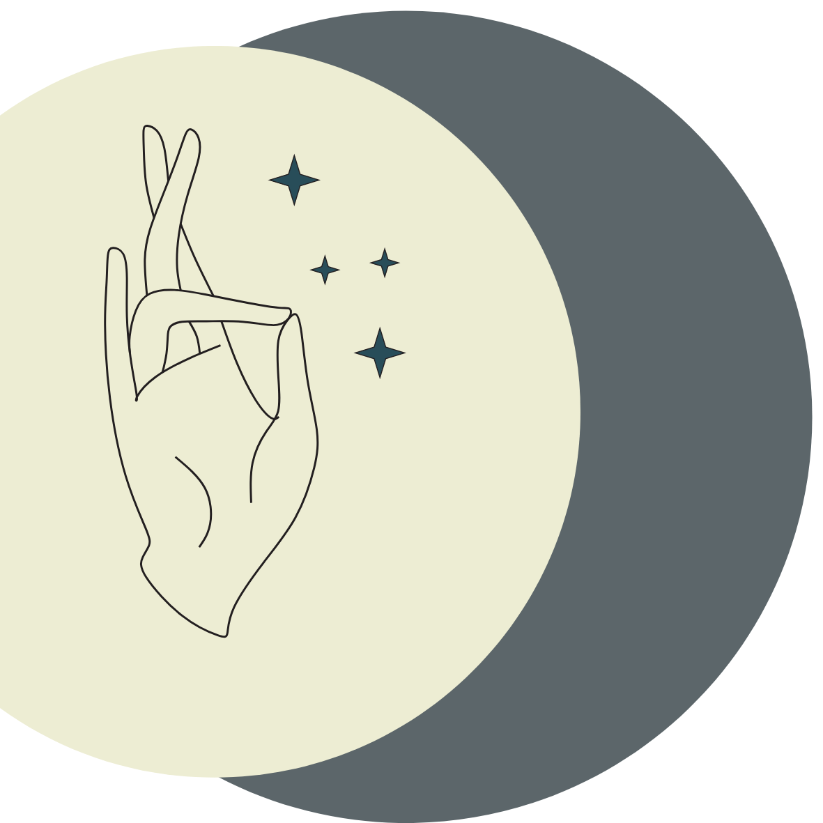 The Pick Witch, Personal Style Curation Services