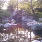 Life is a dynamic, unpredictable experience happening NOW inside of you