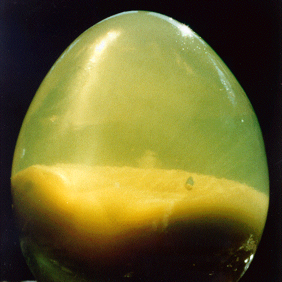 McGee On Food & Cooking