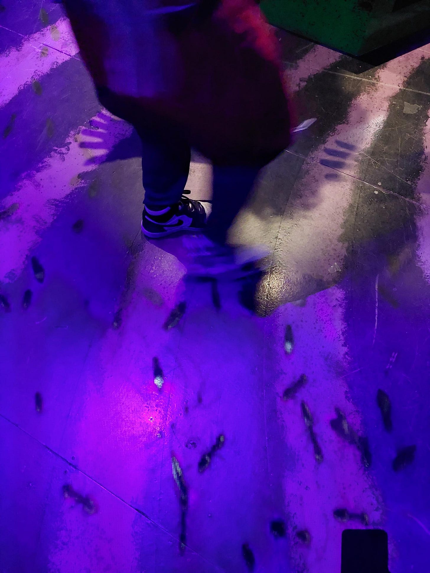 Bugs…. under the bass bin