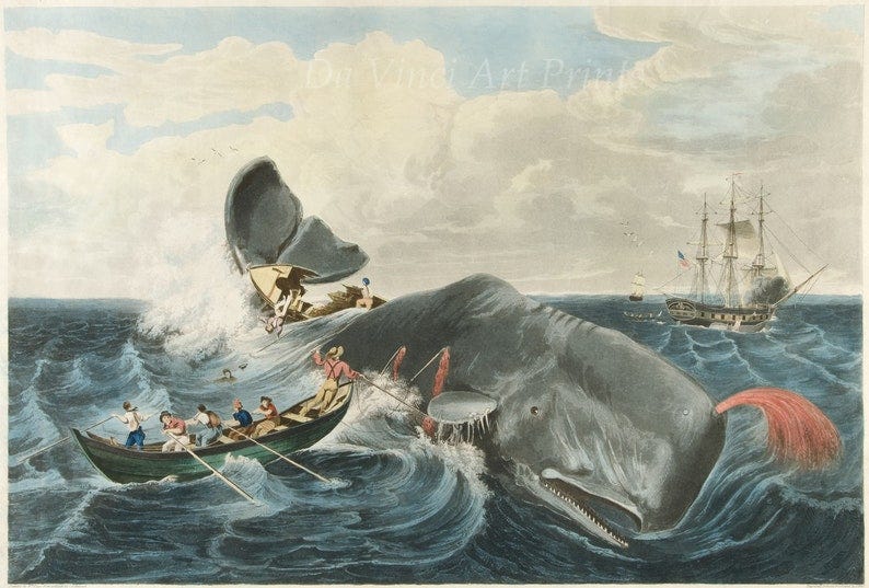 Images of America: Whaling Art Capturing a Sperm Whale, 1835 Fine Art Print Reproduction image 1