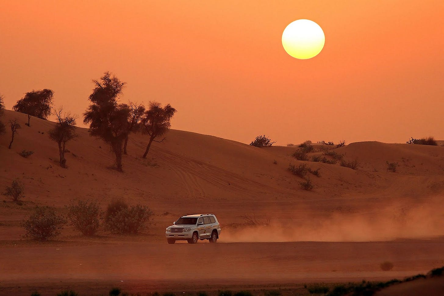 Evening Desert Safari – Luxury Tours Dubai