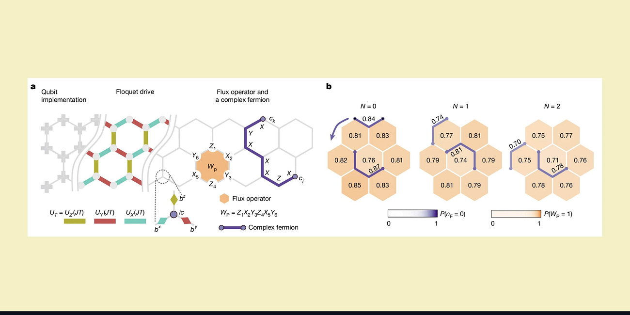 Beyond Reach: How a Quantum Processor Unlocked a "Forbidden" Phase of Matter.