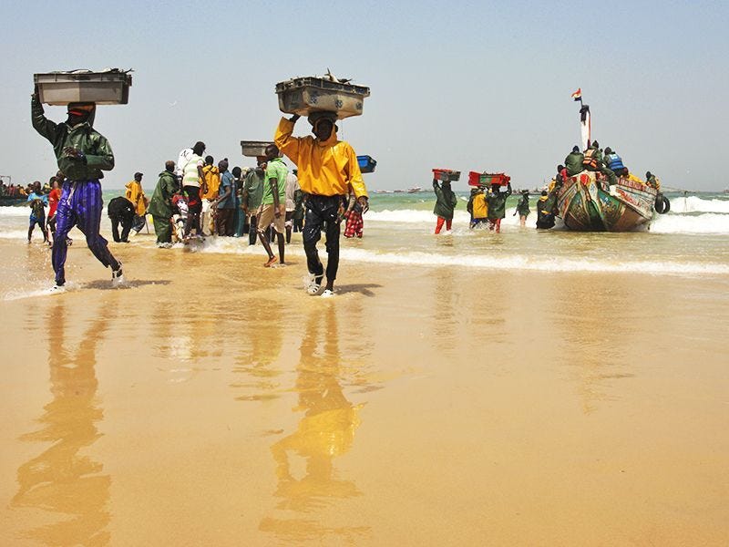L&#39;impressionnant retour des pêcheurs au port de Kayar