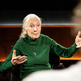 Culture recs: Taylor's 'Showgirl' era has arrived