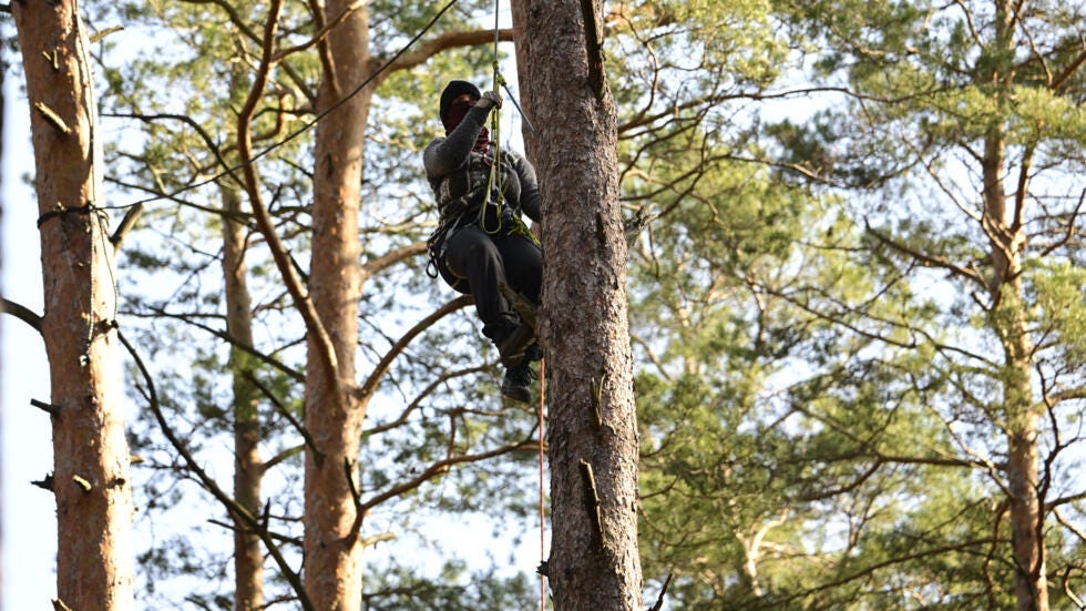 Environmental activists are taking up positions  in forest near Berlin to protest against expansion plans by US electric car giant Tesla