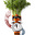 Basketball Jones's avatar