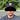 Brant Hammer's avatar