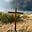 Into the Foolishness of God's avatar