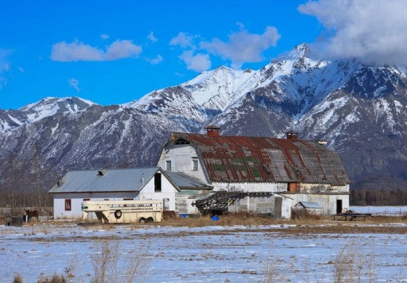Parks/Archer barn. Photo by Stewart Amgwert, Wasilla. 