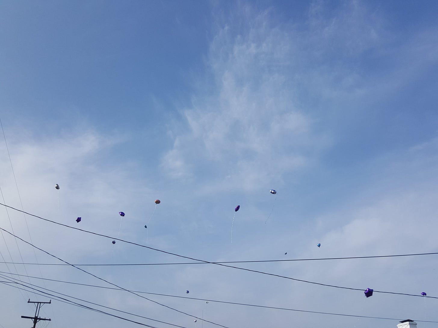 Many Balloons Floating Away Many Balloons Floating Away