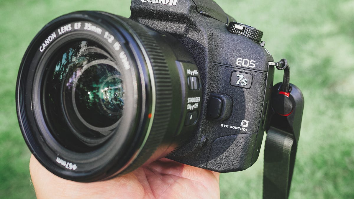 First Roll: Canon EOS 7s - by David Fox