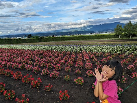 Farm Tomita, furano, Hokkaido, Japan