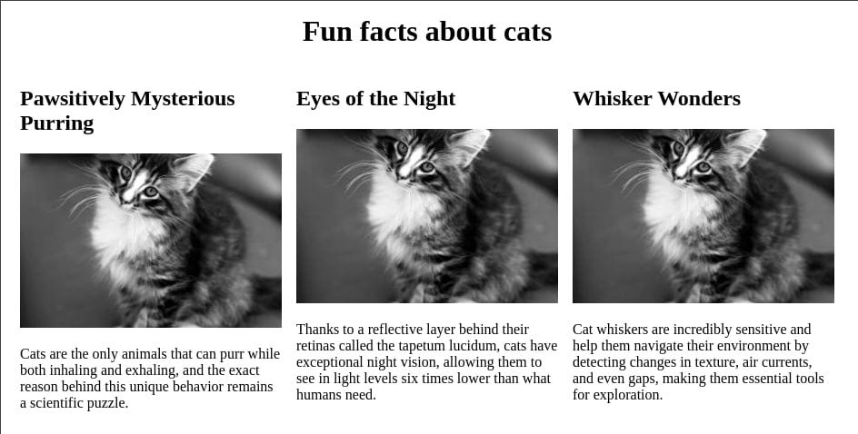 Screenshot d'une interface web qui affiche 3 articles distincts constitués d'un titre, d'une image et d'un texte