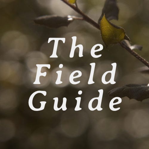 THE FIELD GUIDE by Native Plant Club