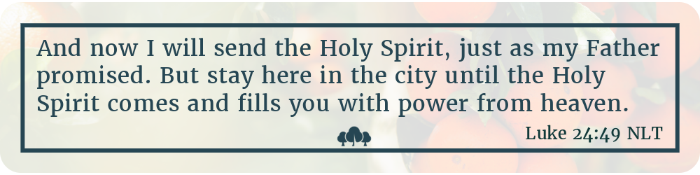 Luke 24:49
