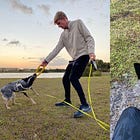 In favor of retractable leashes—used responsibly