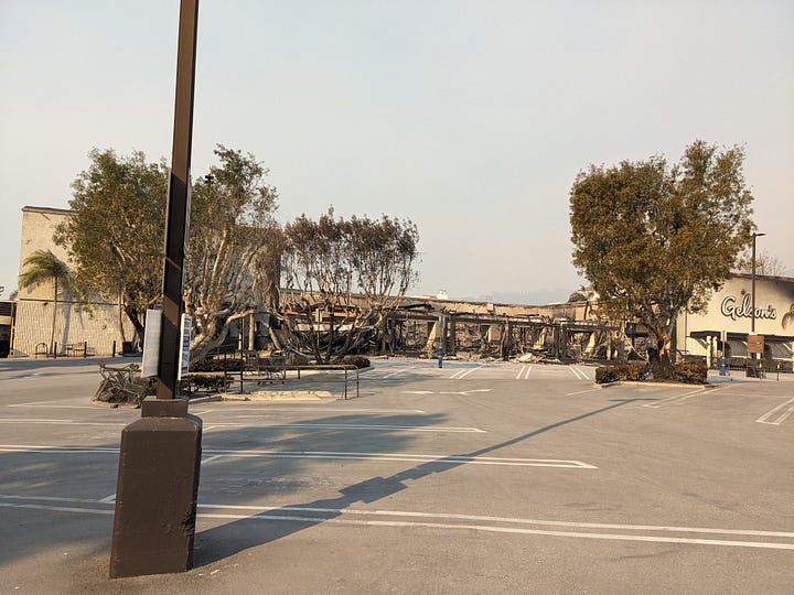 trees burned by houses