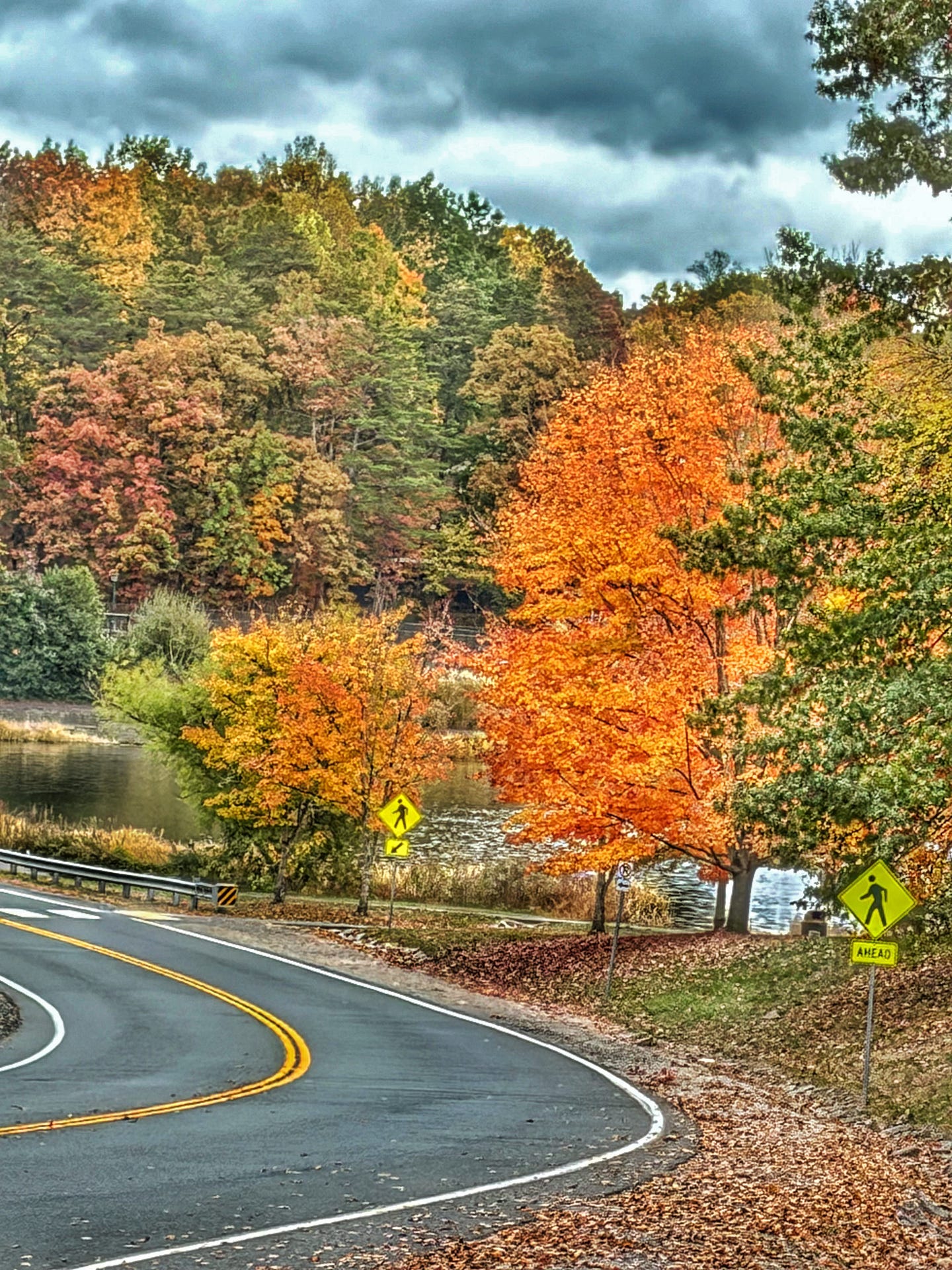 A winding autumn road bordered by trees in vivid orange and green, symbolizing life’s natural rhythm, change, and trust in the unfolding path ahead.