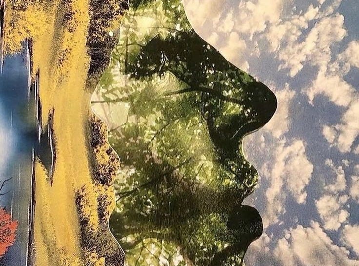 This may contain: the reflection of two trees in water with clouds and blue sky behind them, as seen from above