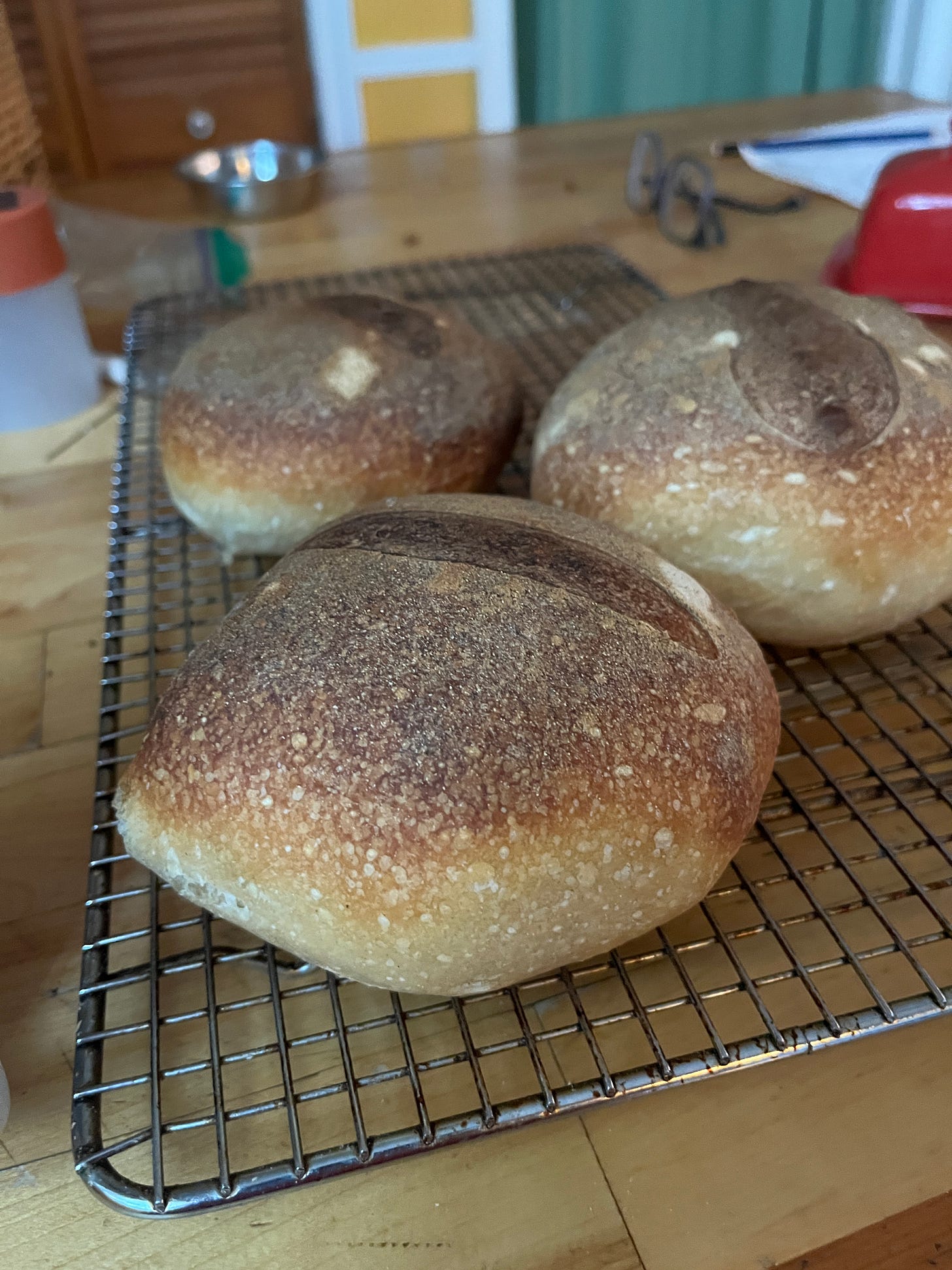 three round loaves of bread cooling on a rack