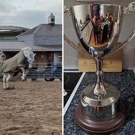 Dates released for Spring into Dressage League at Wheatfield