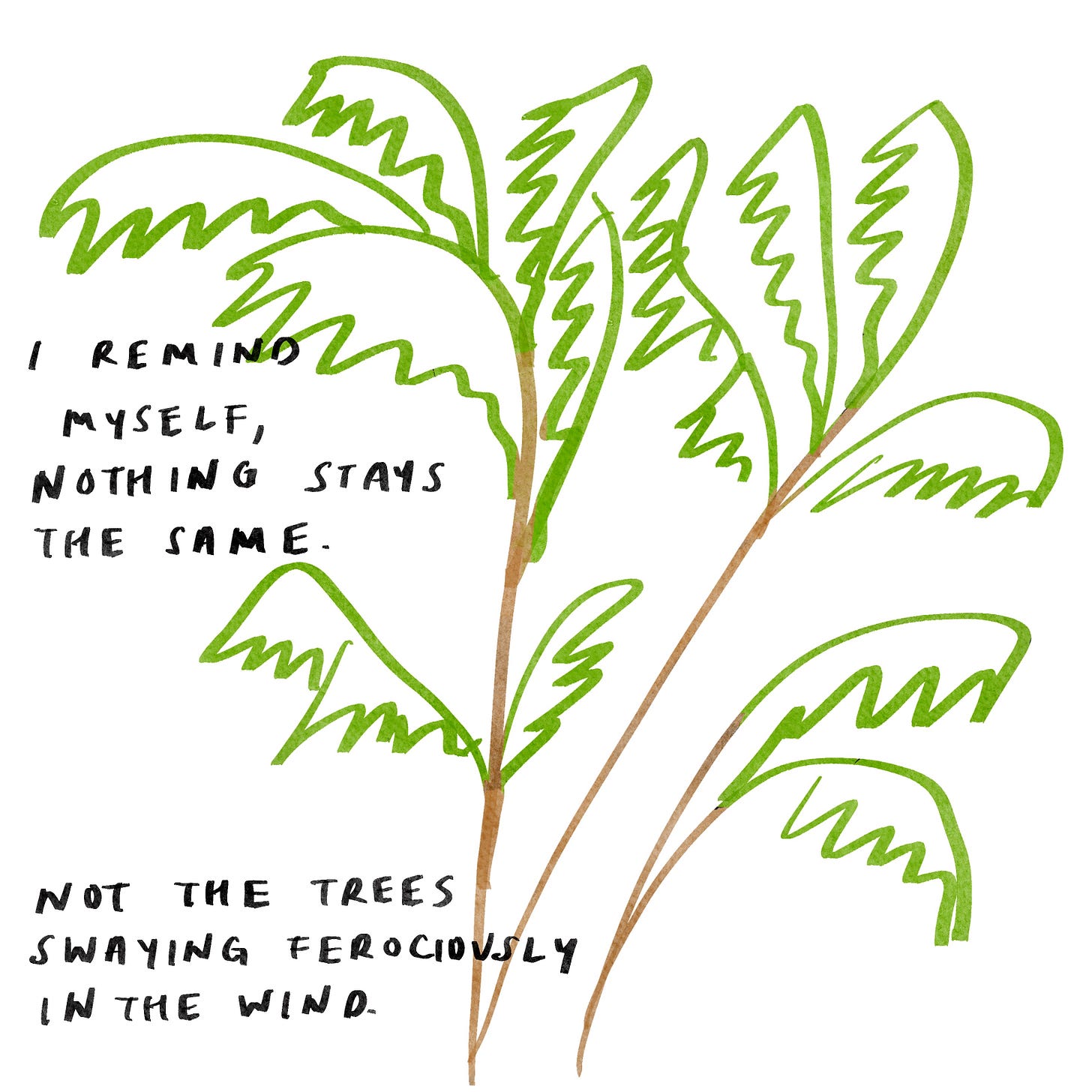 I remind myself, nothing stays the same. Not the trees swaying ferociously in the wind.